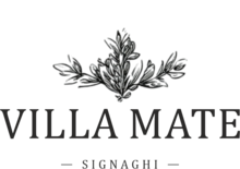 villamate.ge